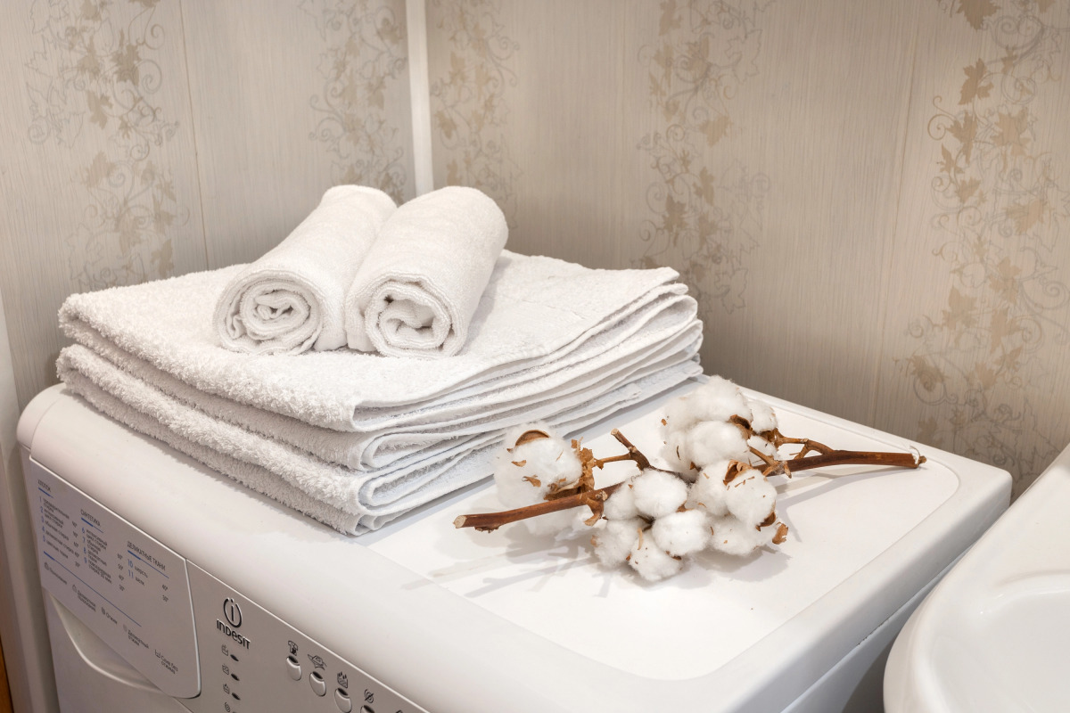 Апартаменты Гривцова 3