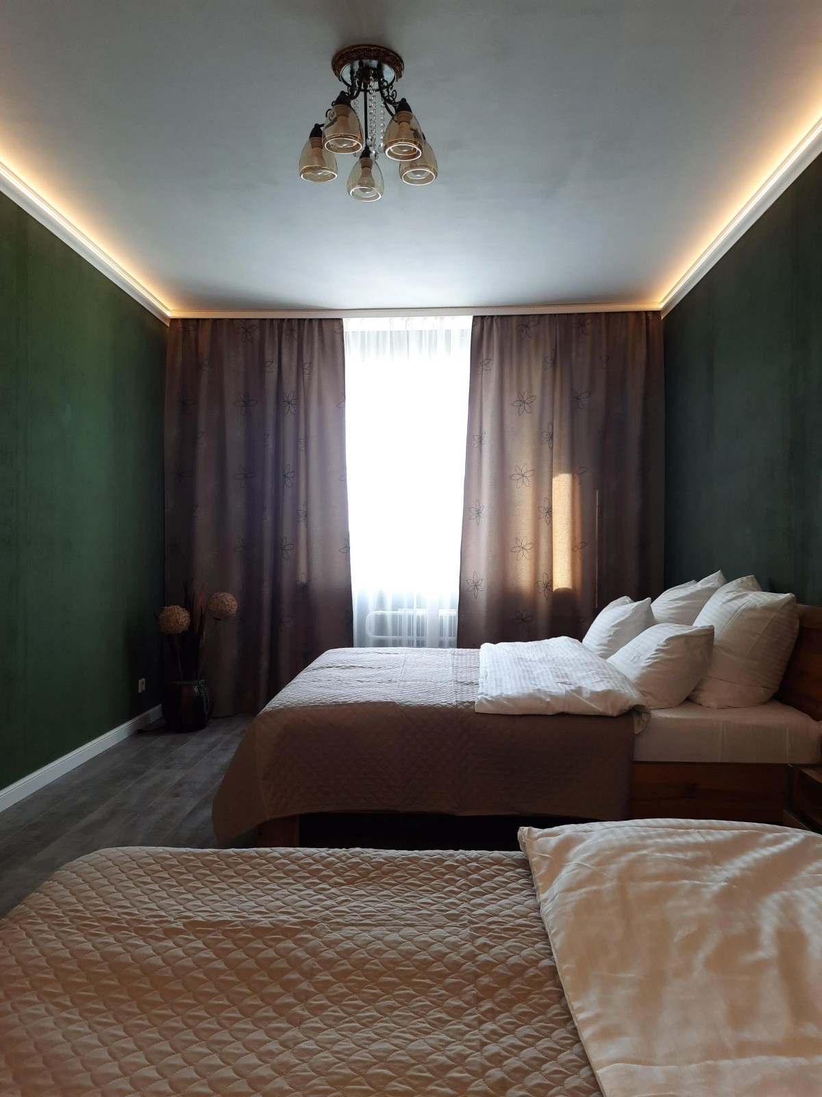 Апартаменты Рыжий Кот Дружный