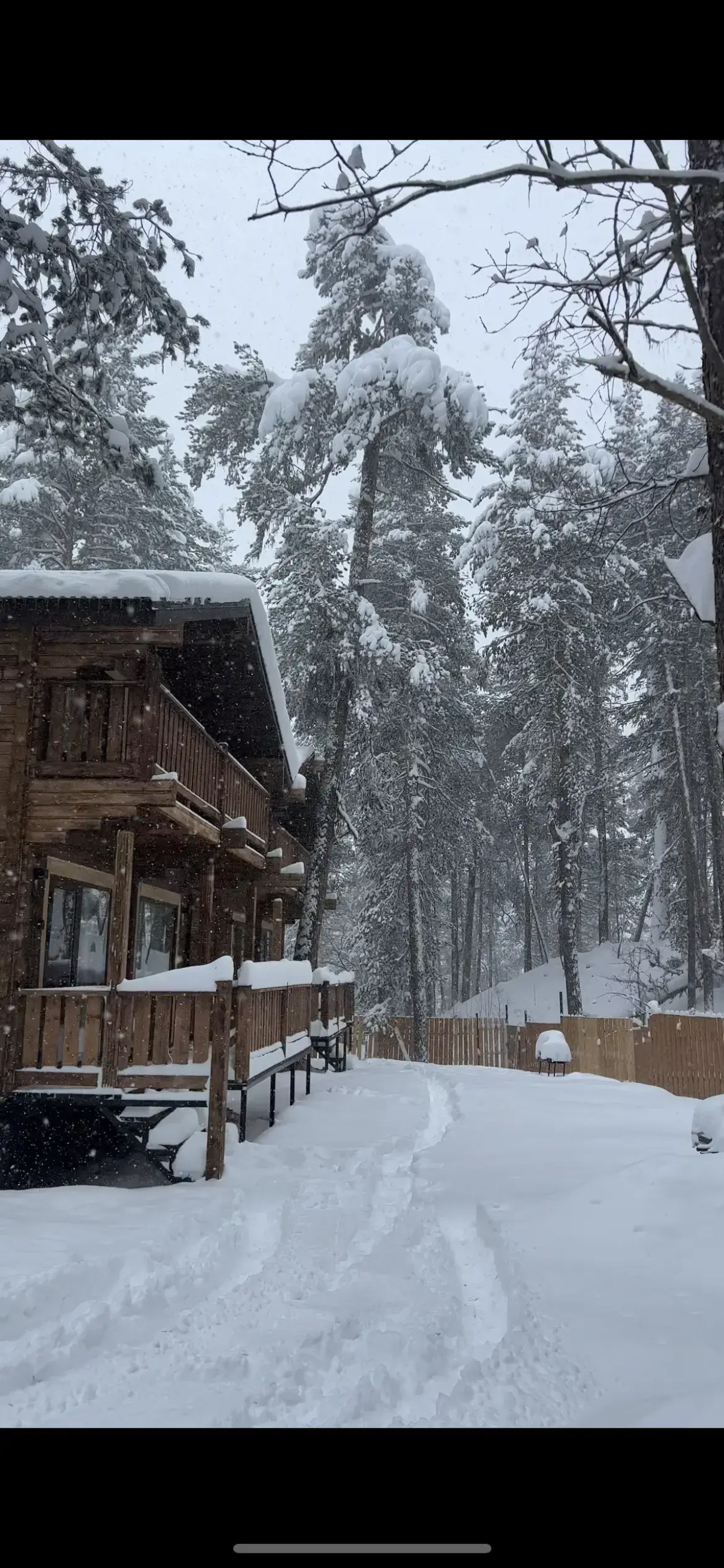 Шале Chalet Mandarin