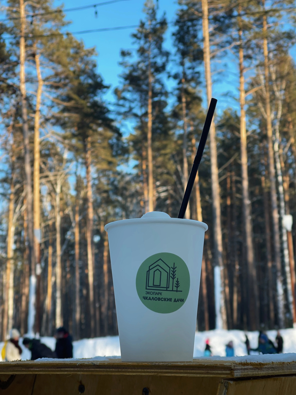 Парк-Отель Чкаловские дачи