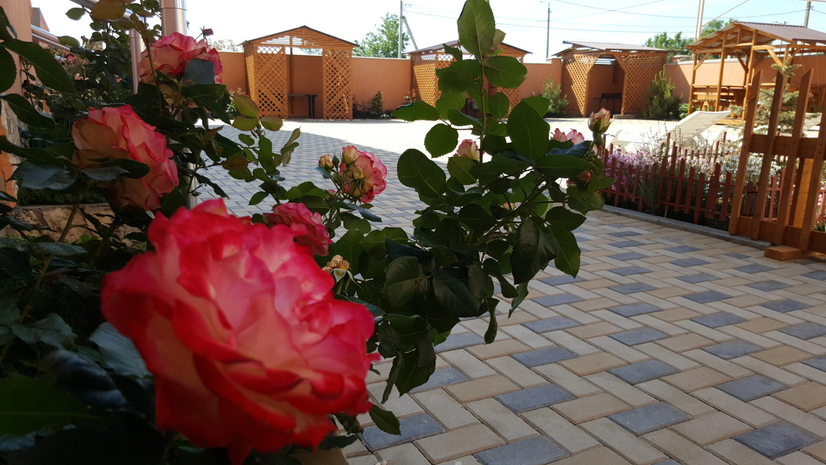 Гостевой Дом Светлана