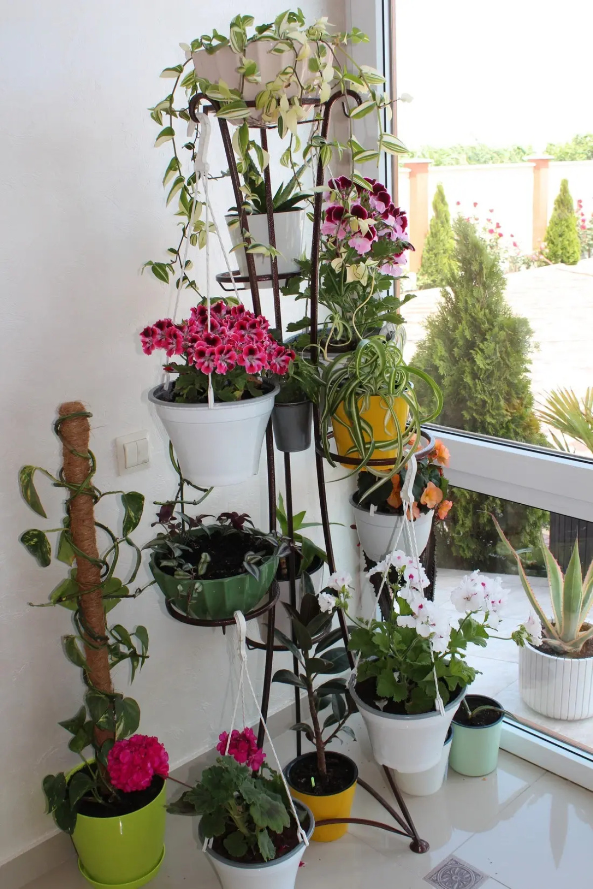 Гостевой дом Ангелина