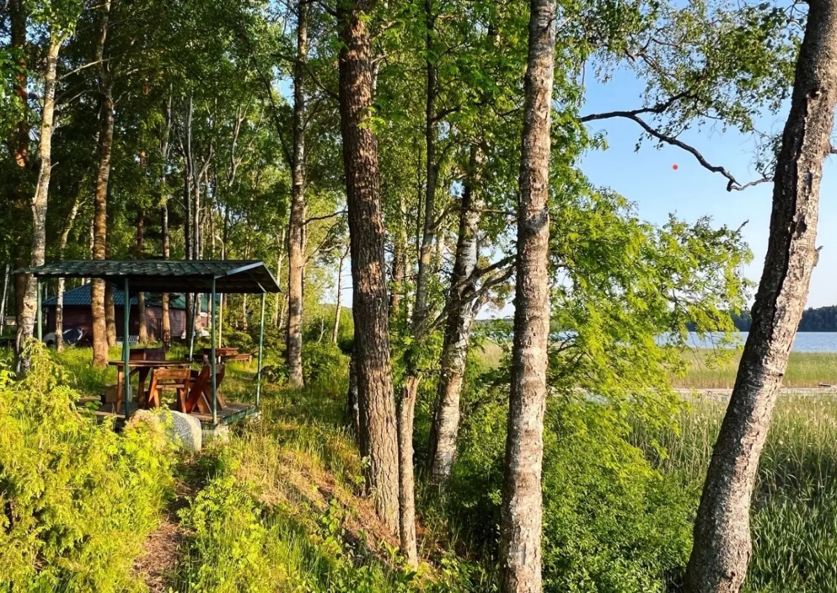 База отдыха Александровская