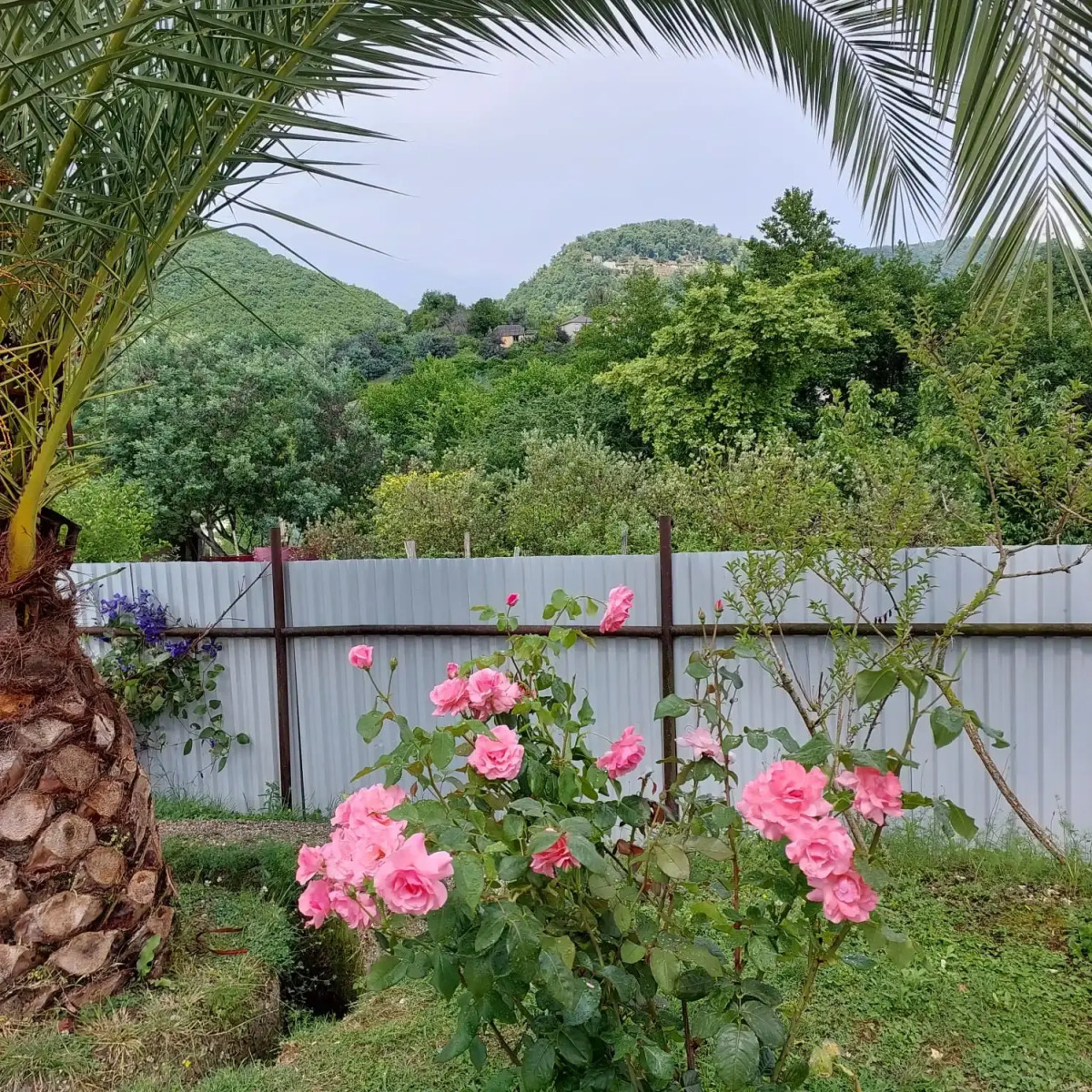 Гостевой Дом на Топчян 17