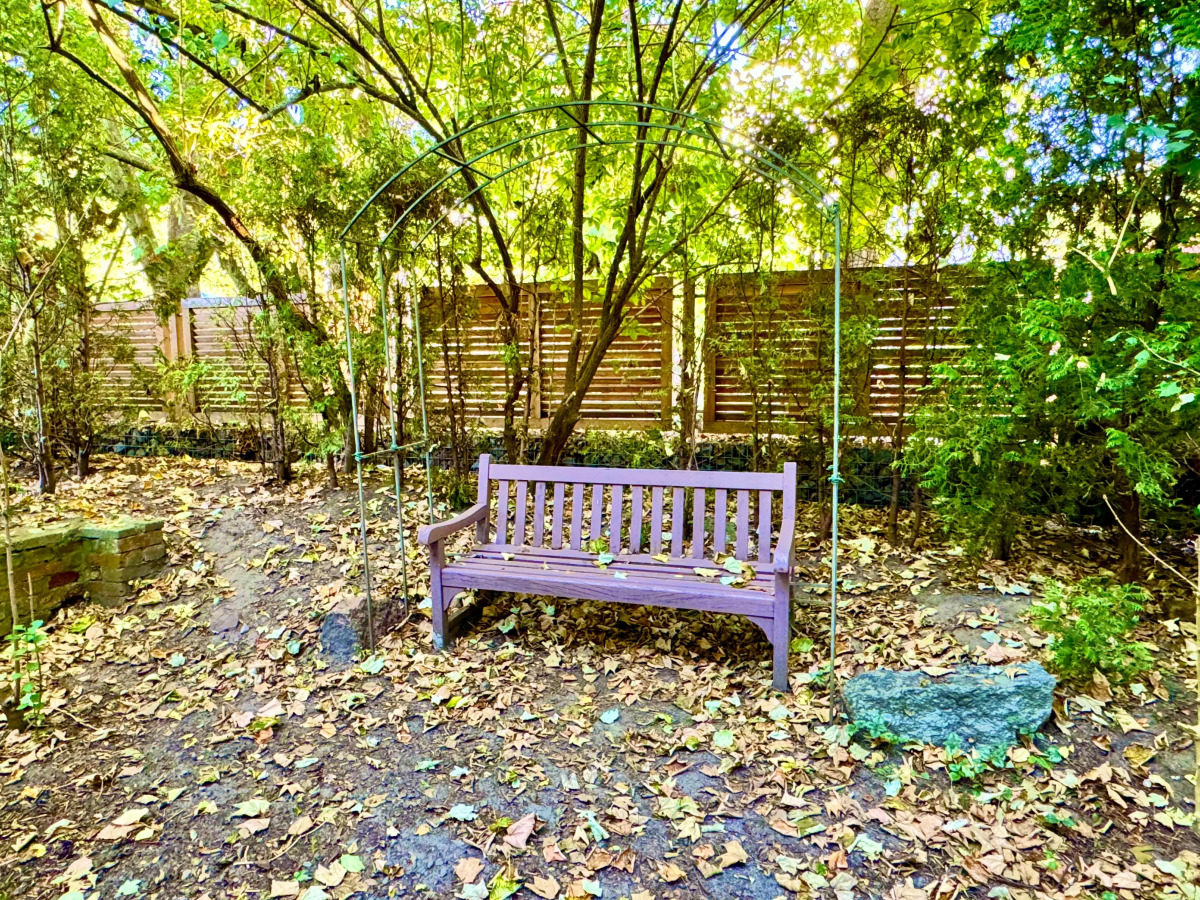 Квартира Мяу