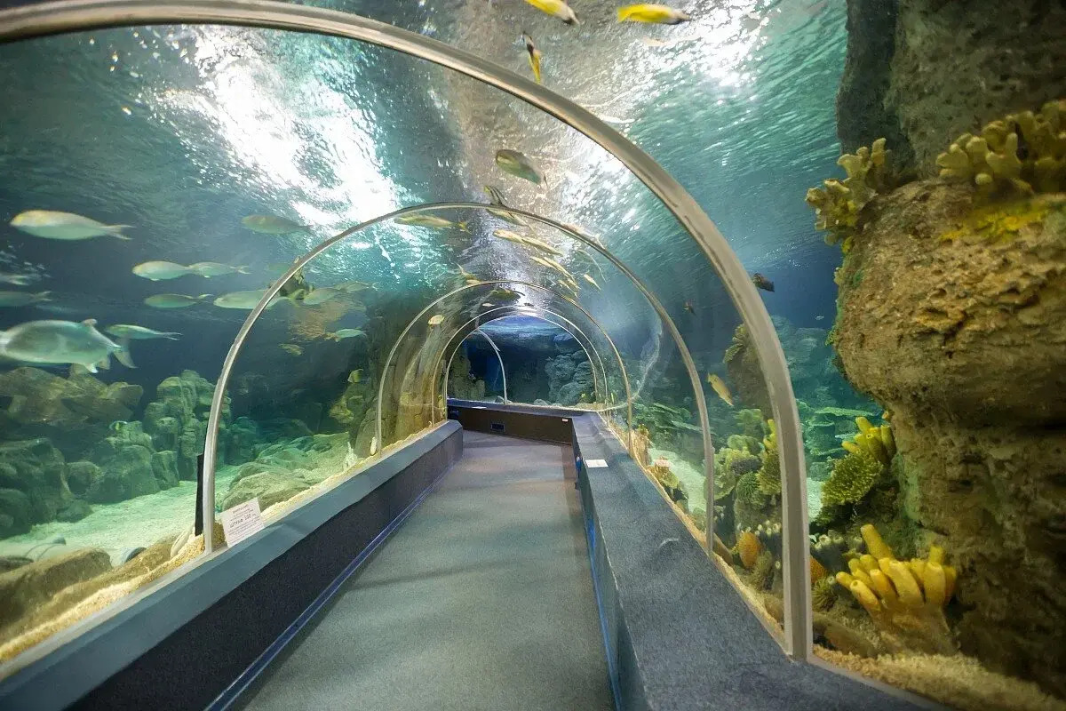 Гостевой дом Aqua Life