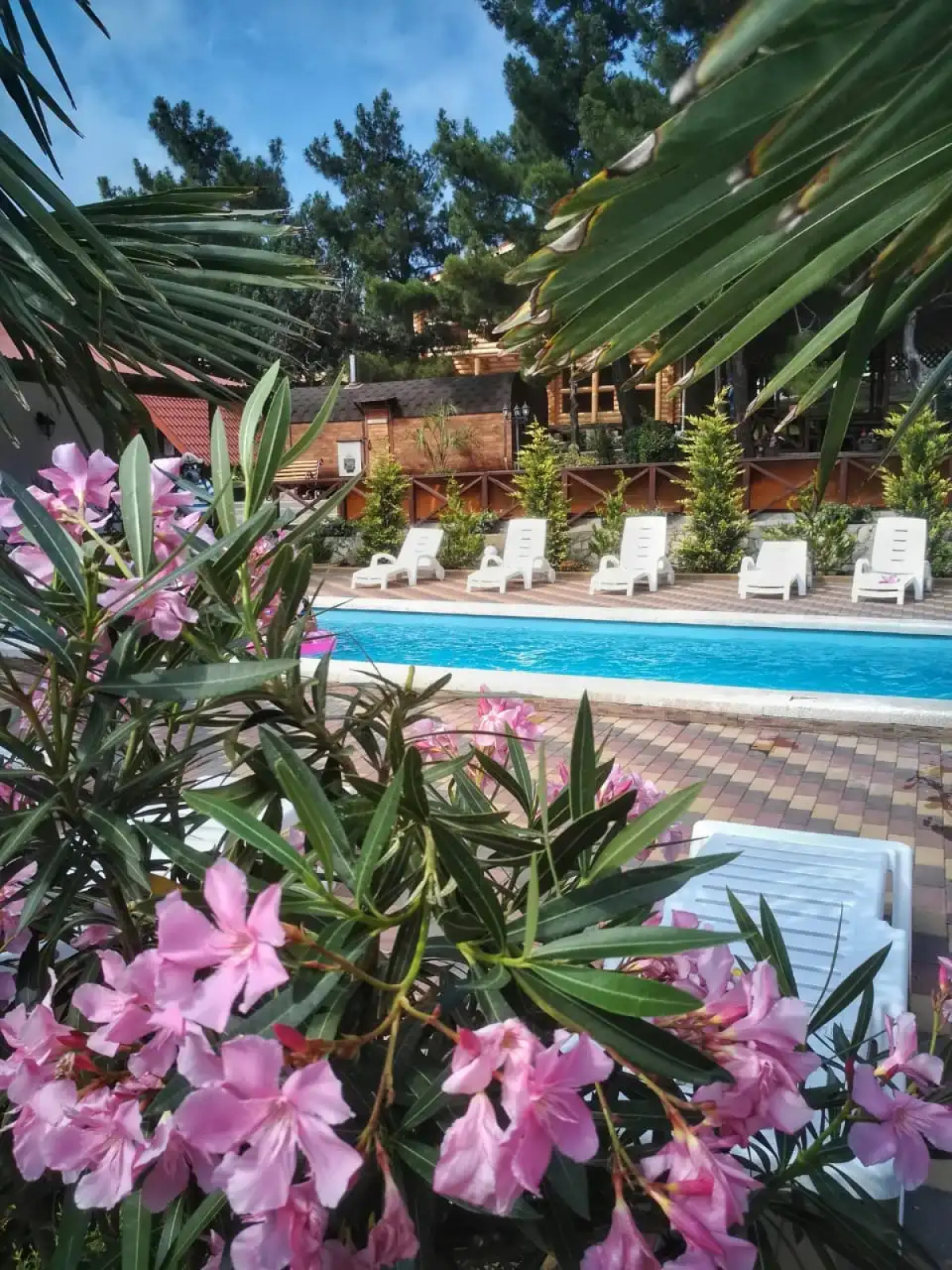 Отель Можжевеловый Парк