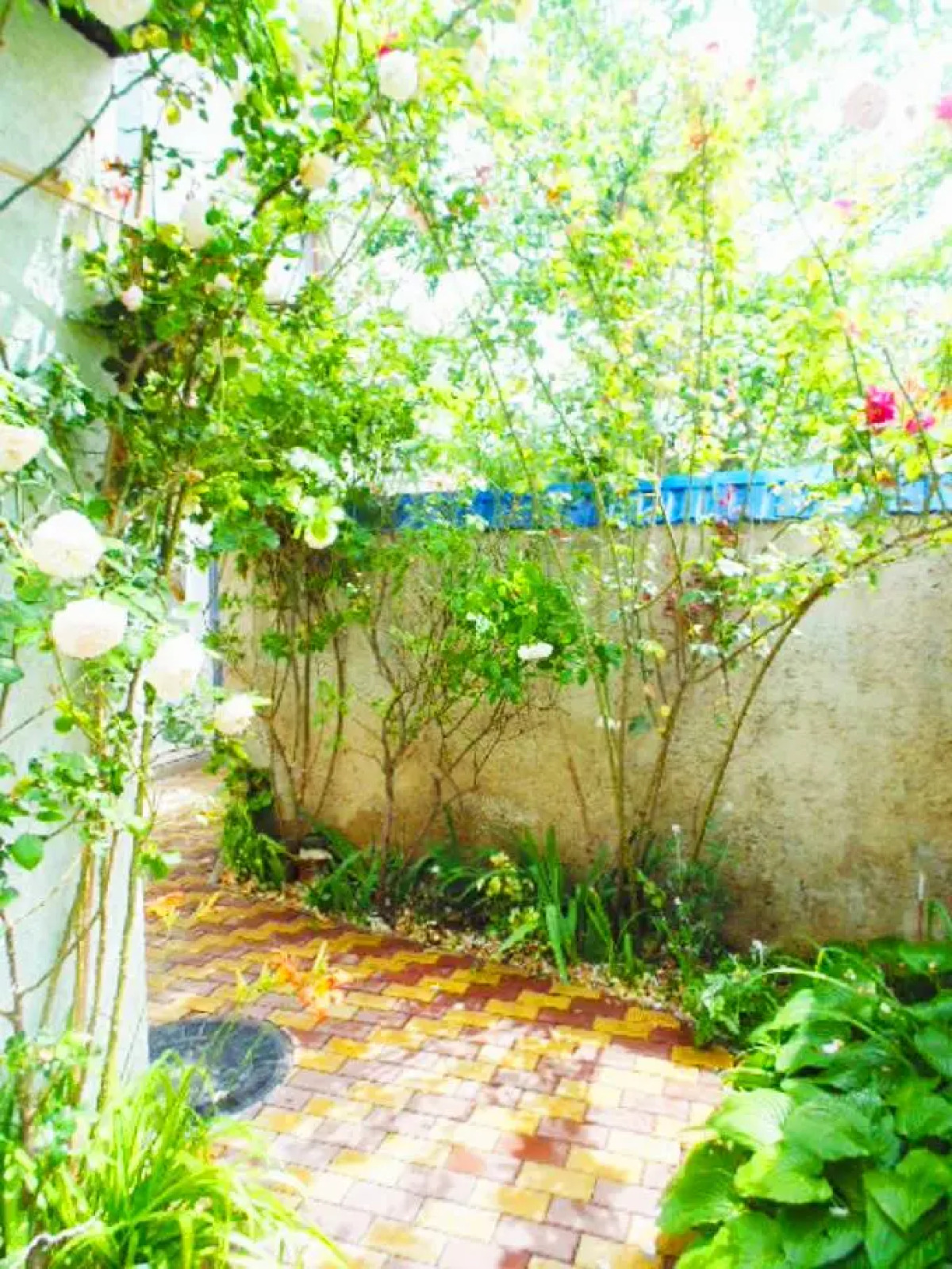 Апартаменты 2 минуты пешком от набережной Терешковой