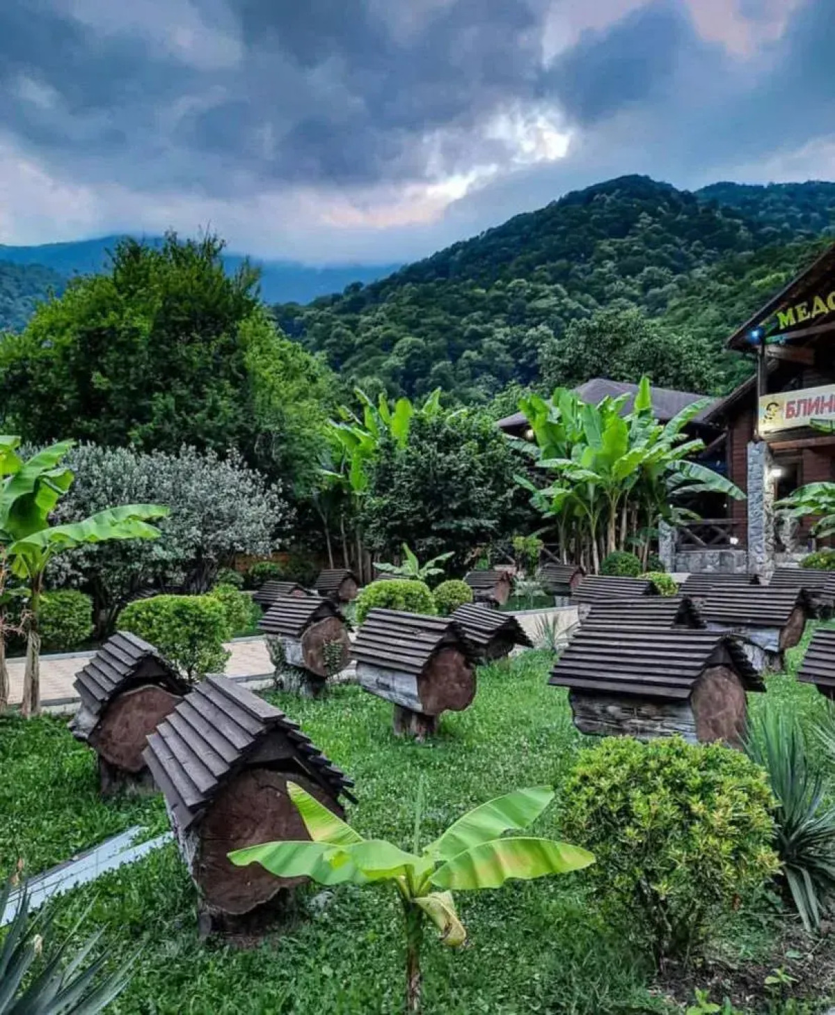 Отель Chalet Bridge Eko