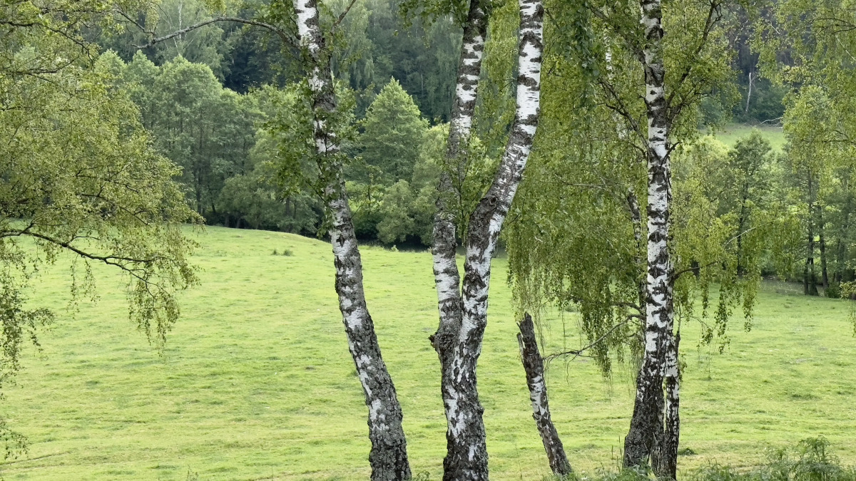 Частный дом Малый афрейм на Березовой