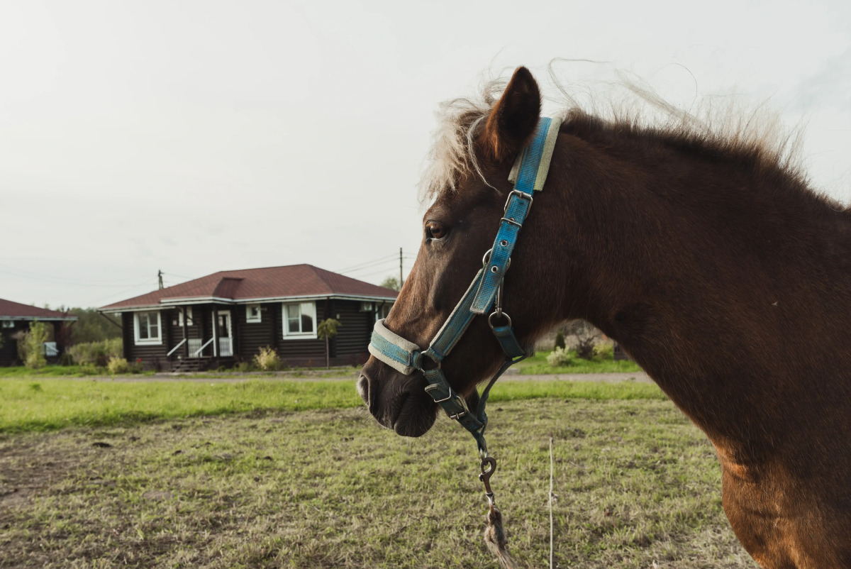 База отдыха  Ранчо