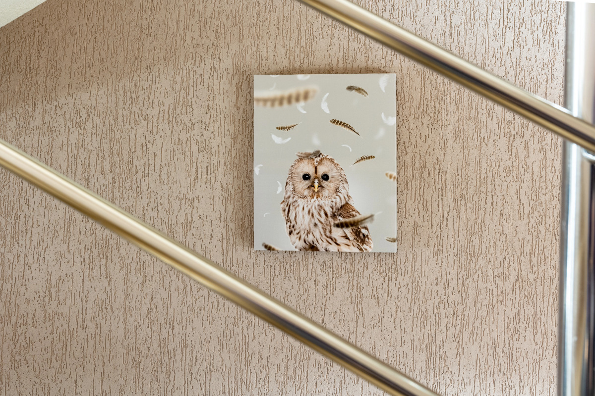 Гостиница Sova