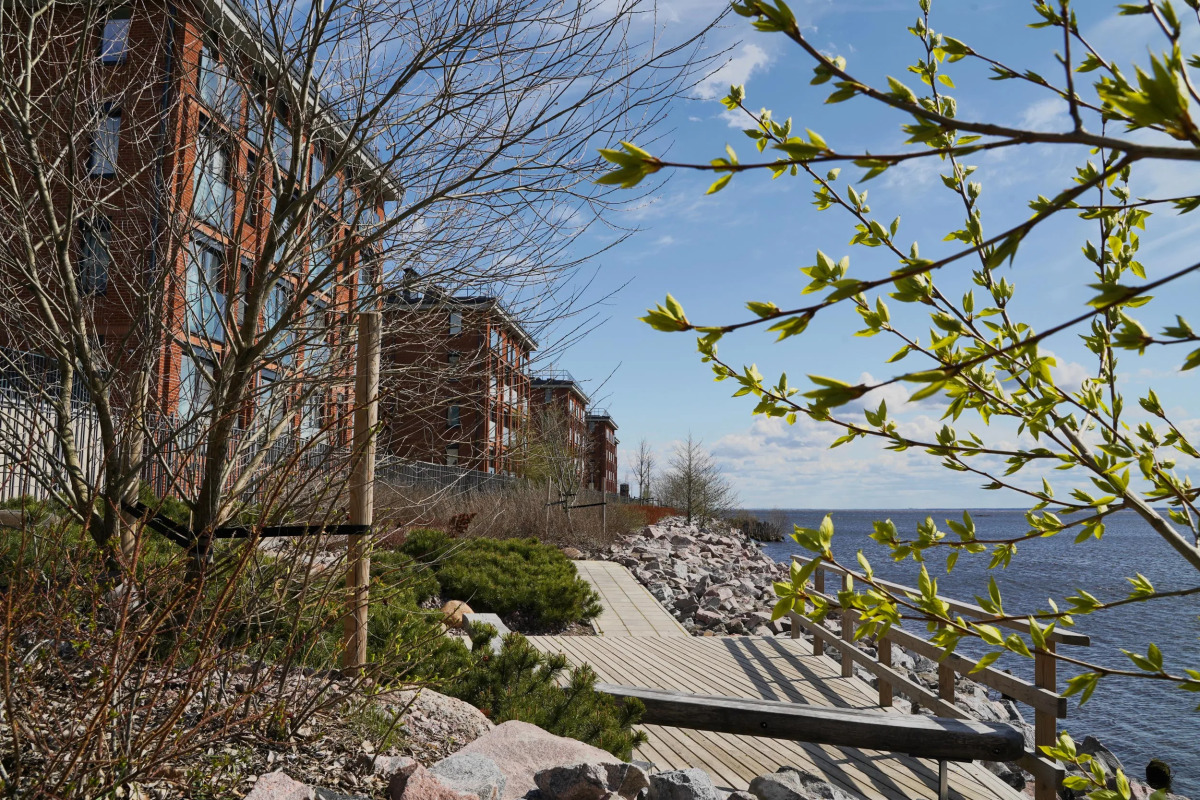 Квартира на берегу Финского залива