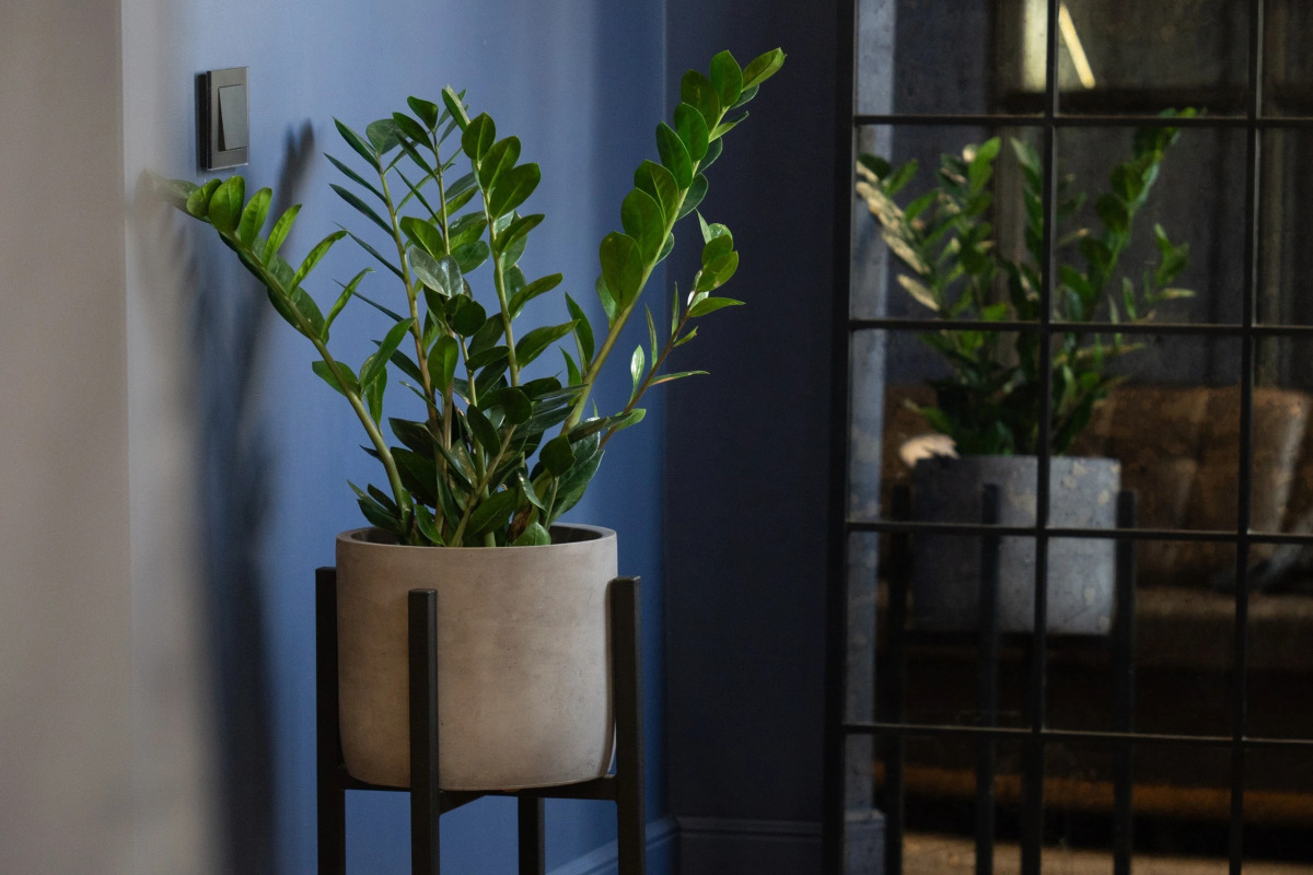 Апартаменты Jail-apart