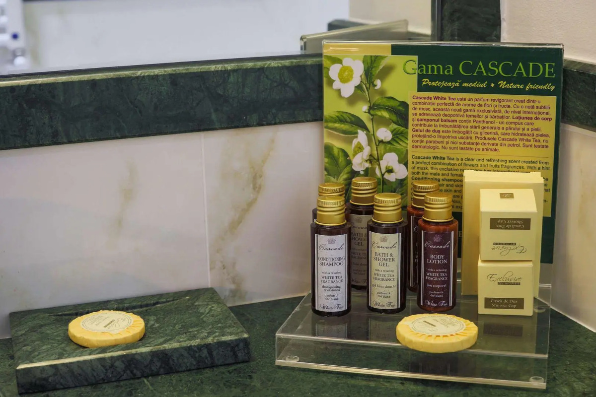 Отель International Iasi