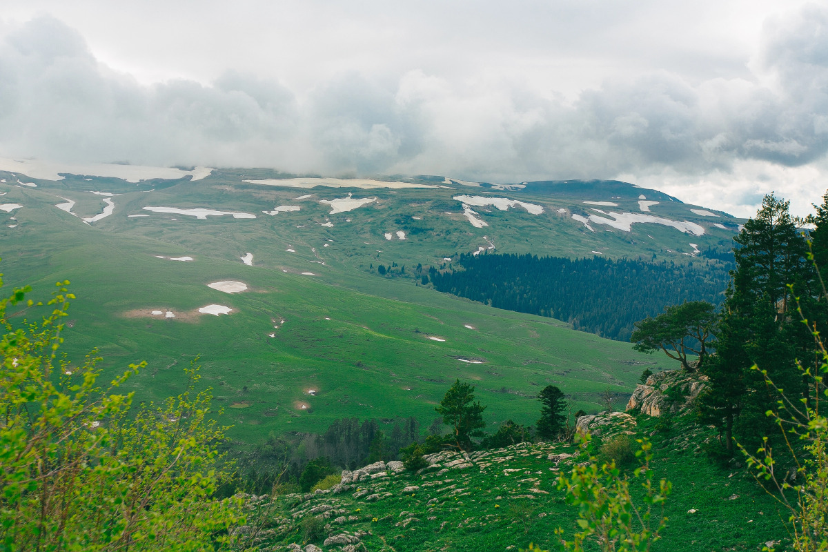 Гостевой дом Dali