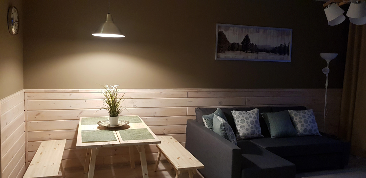 Апартаменты on Chapaeva ECOSTYLE XL