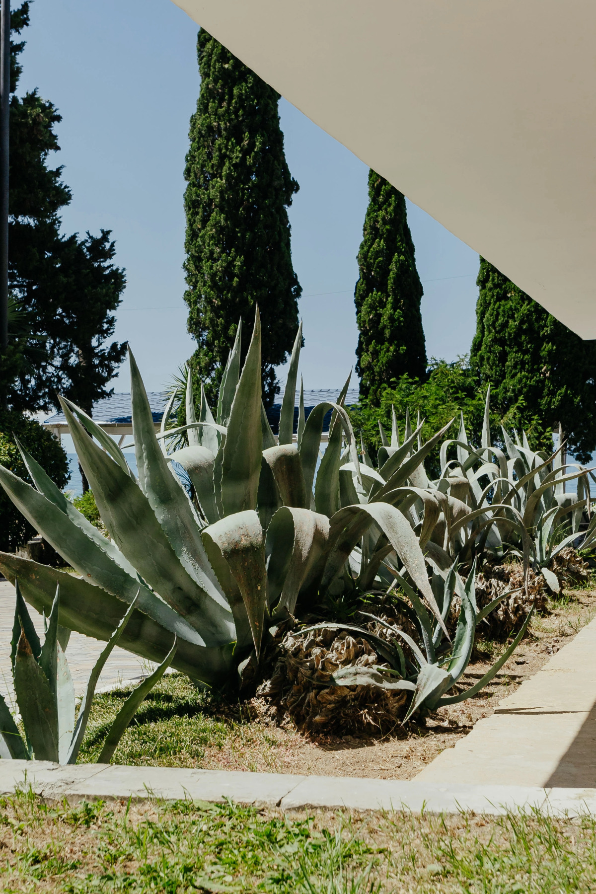 Amra Park Hotel & Spa