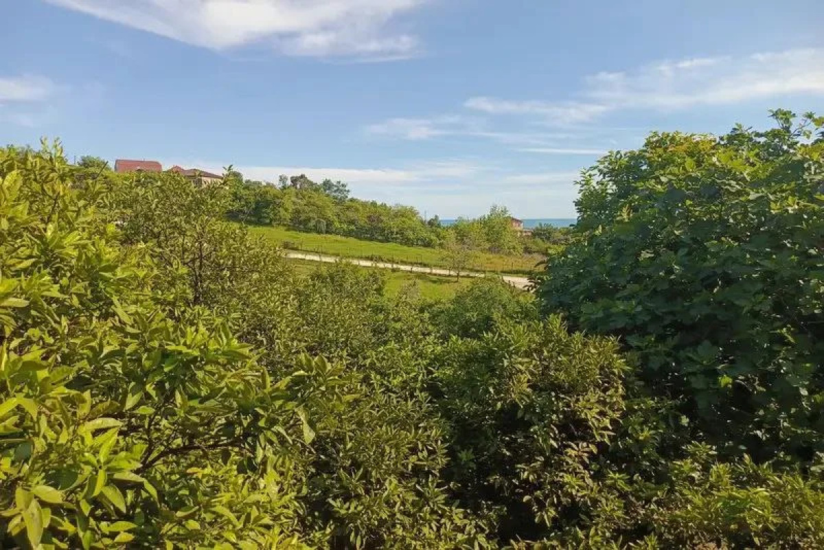 Гостевой дом Отдых у Ашота и Джульетты