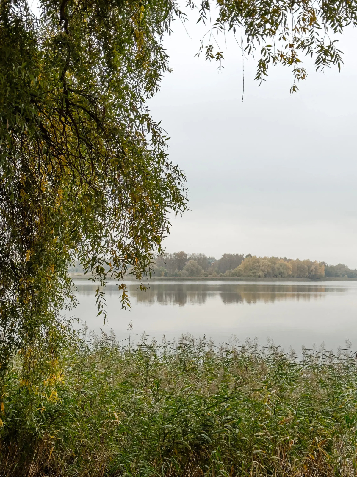 Кемпинг Берег Желаний