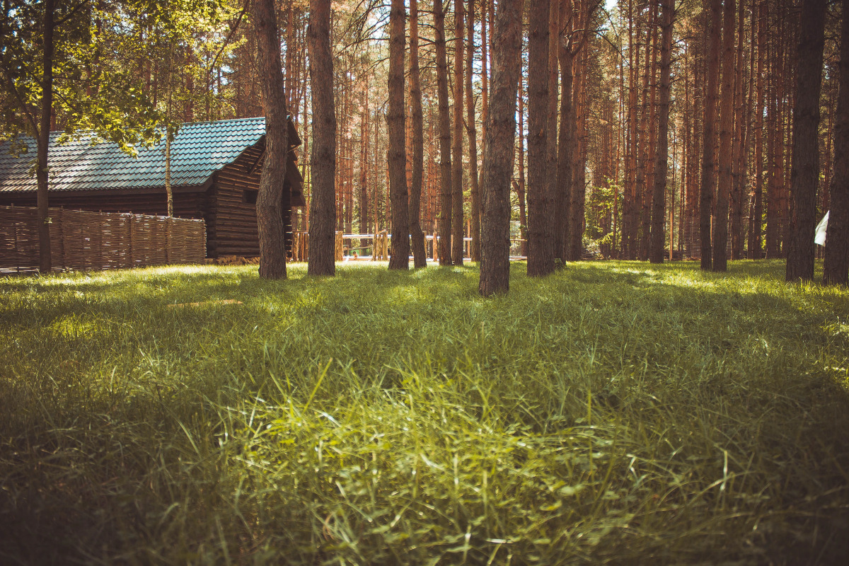 Отель Лесная Сказка