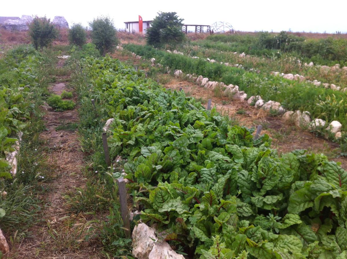 База Отдыха Эко Курорт Морское