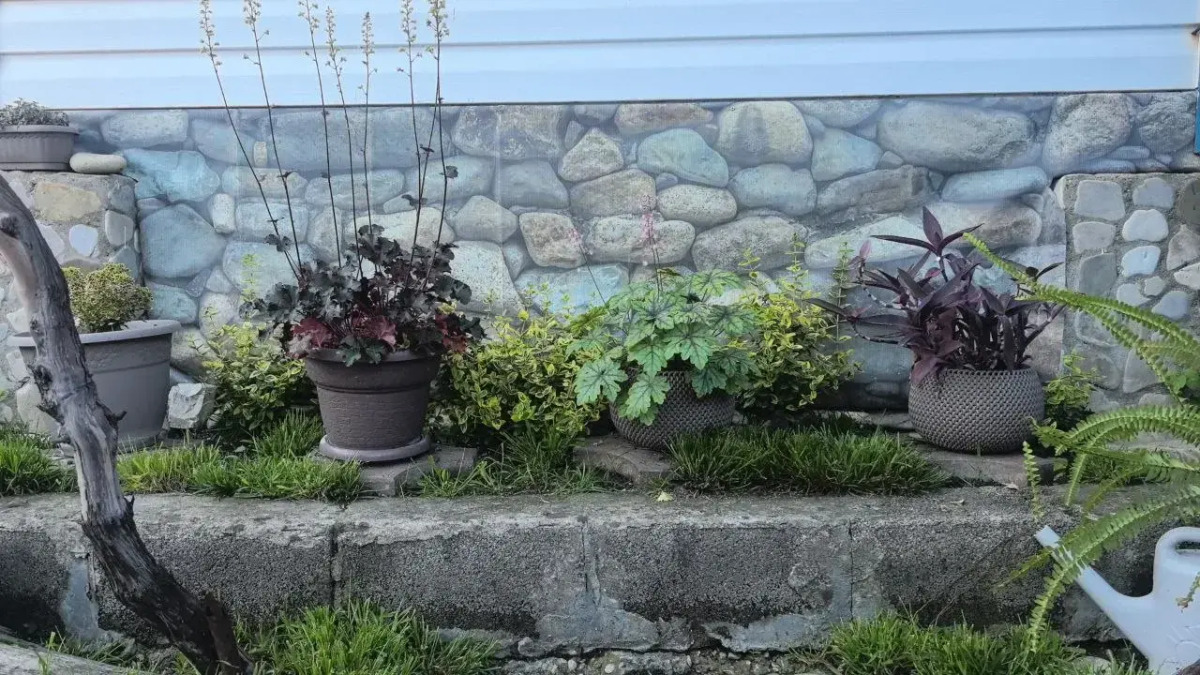 Гостевой Дом Синди