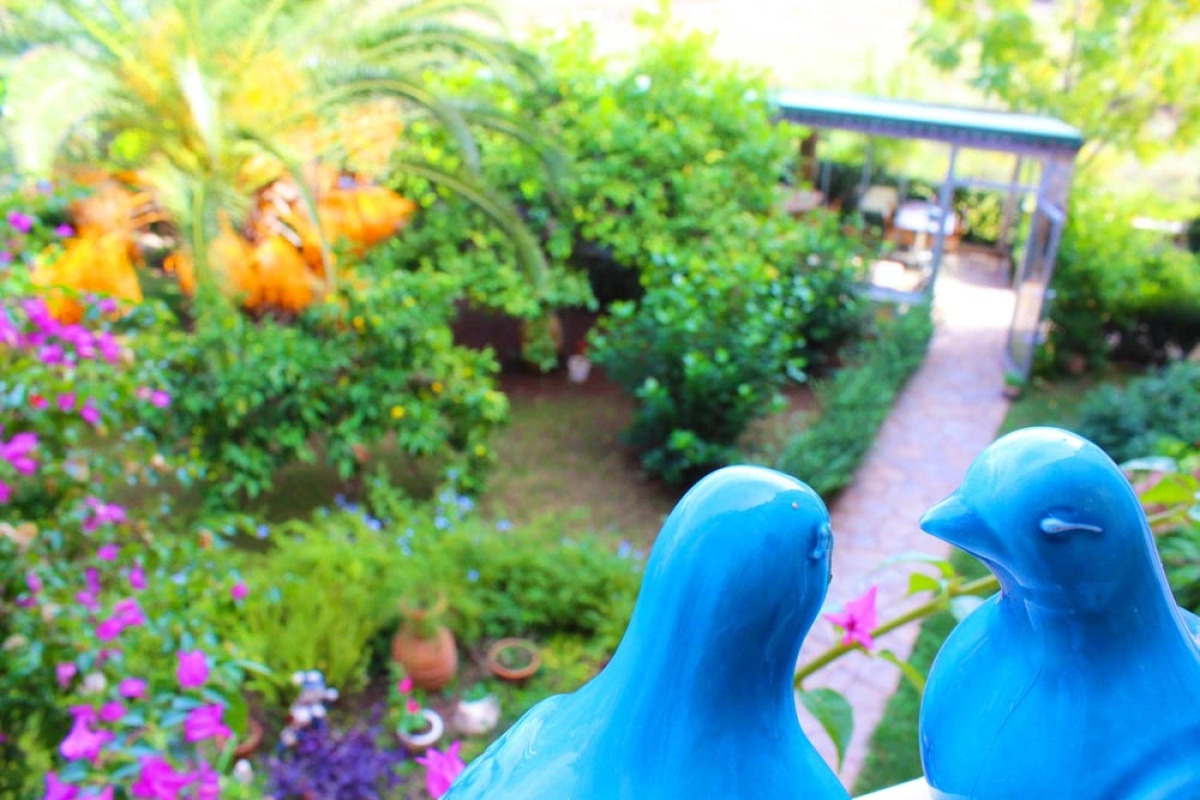 Мини-Отель Papirus Hotel Adrasan