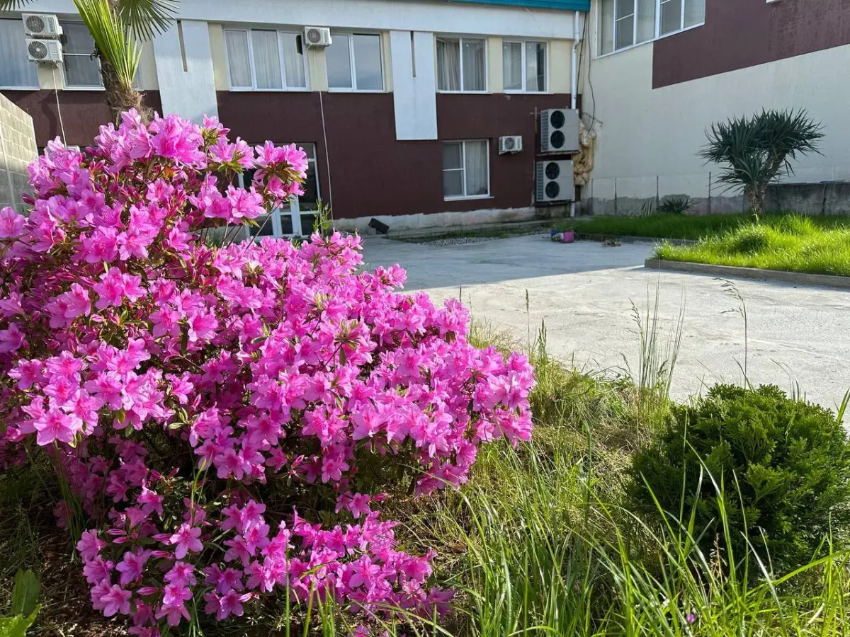 Мини-отель Agudzera Loft