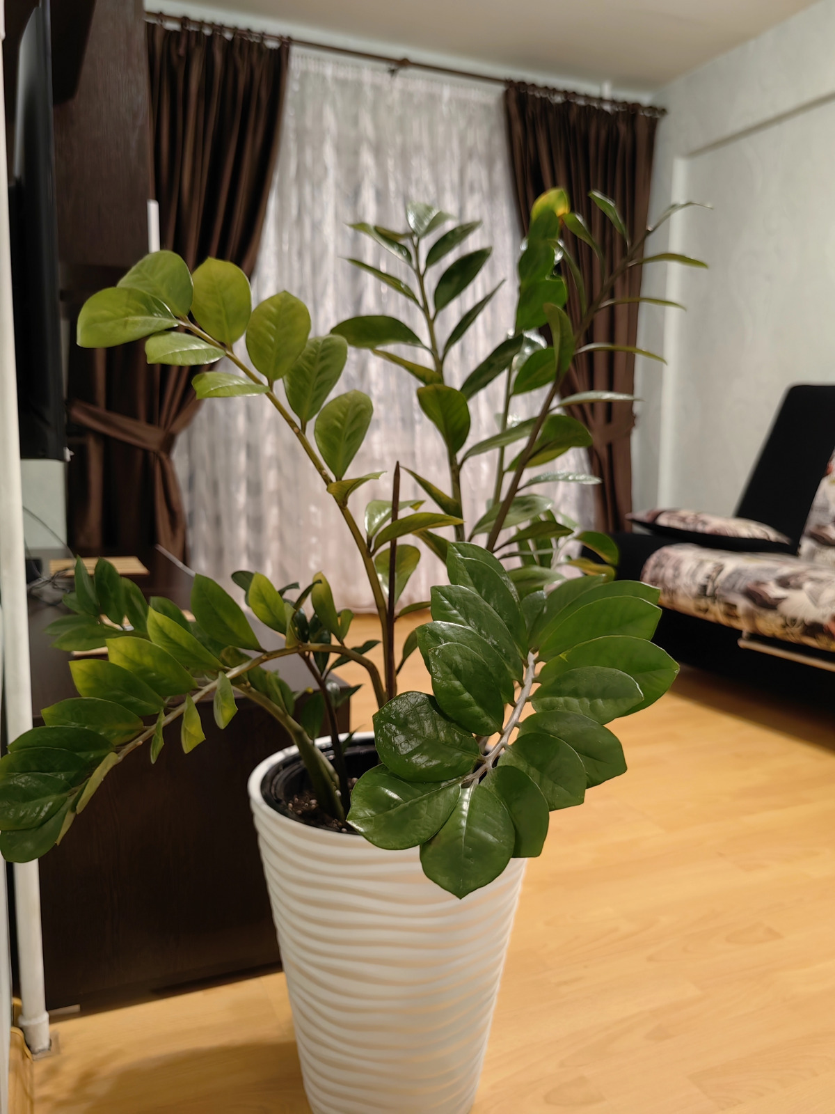 Квартира на Октябрьском проспекте 30А