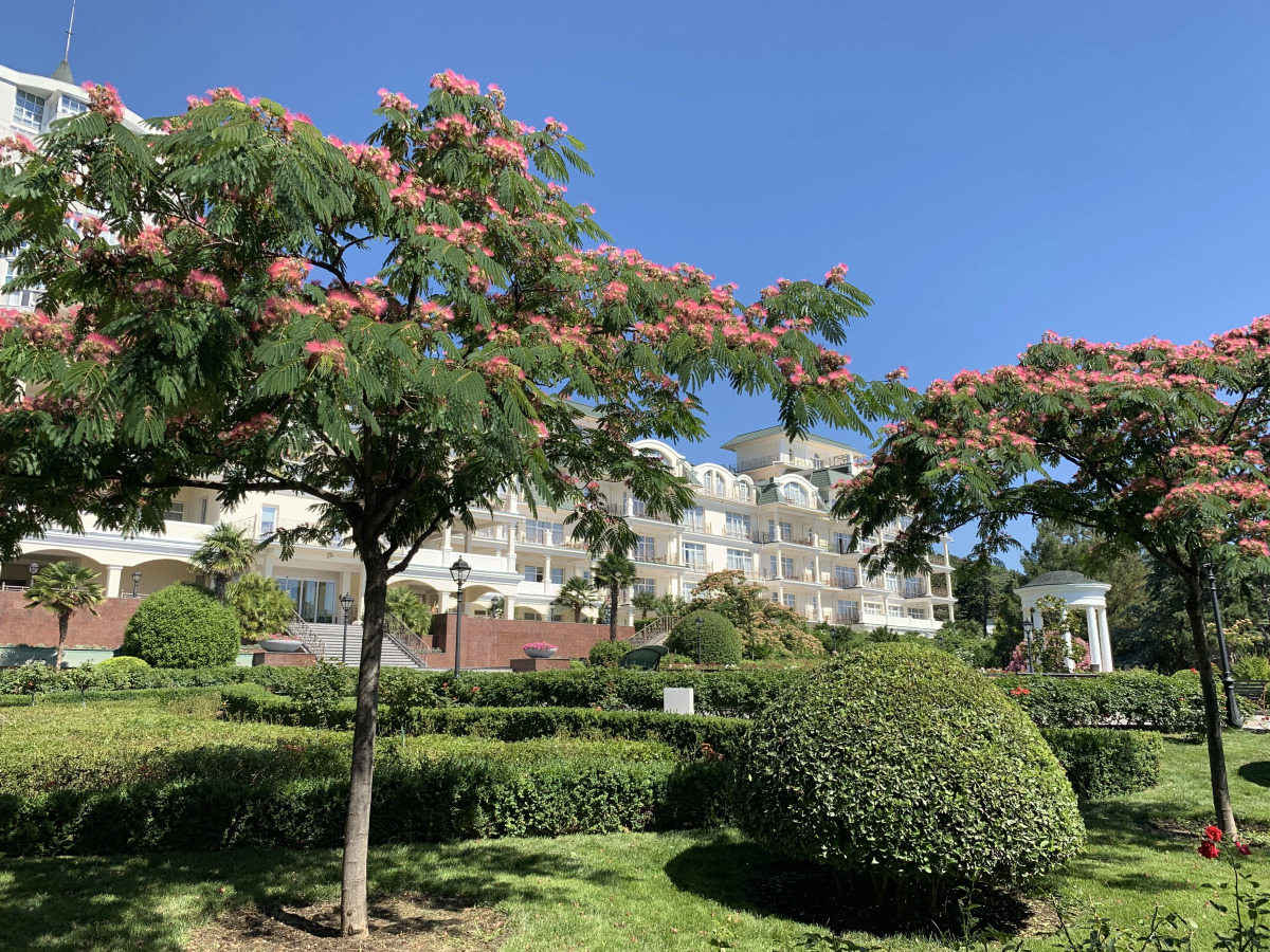 Отель Пальмира Палас