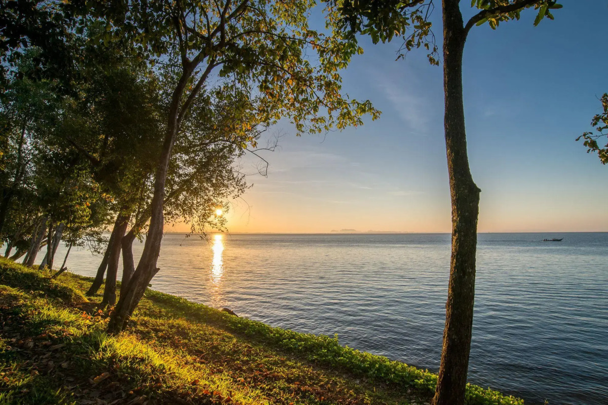 Отель The ShellSea