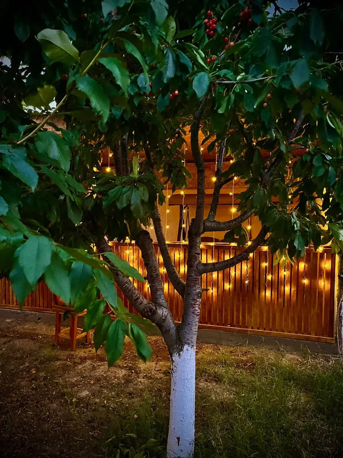 Гостевой дом Red House