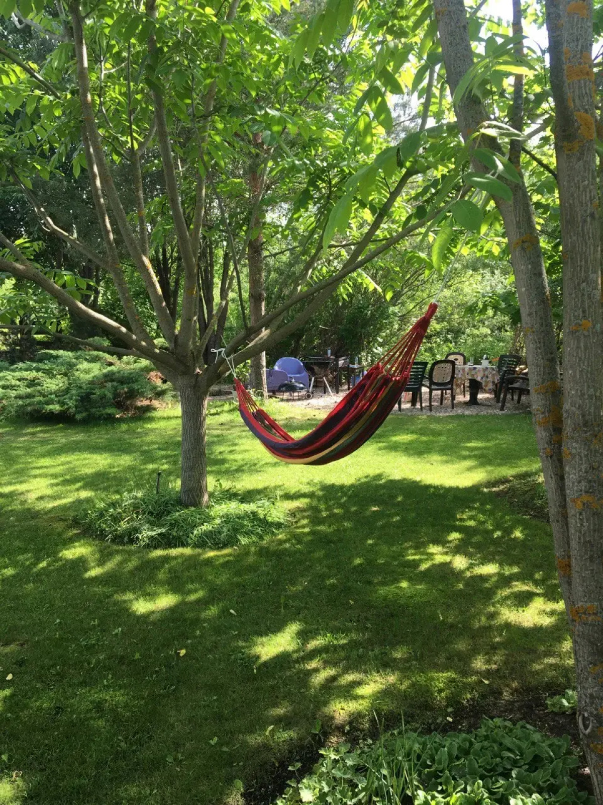 Вилла Ларсон