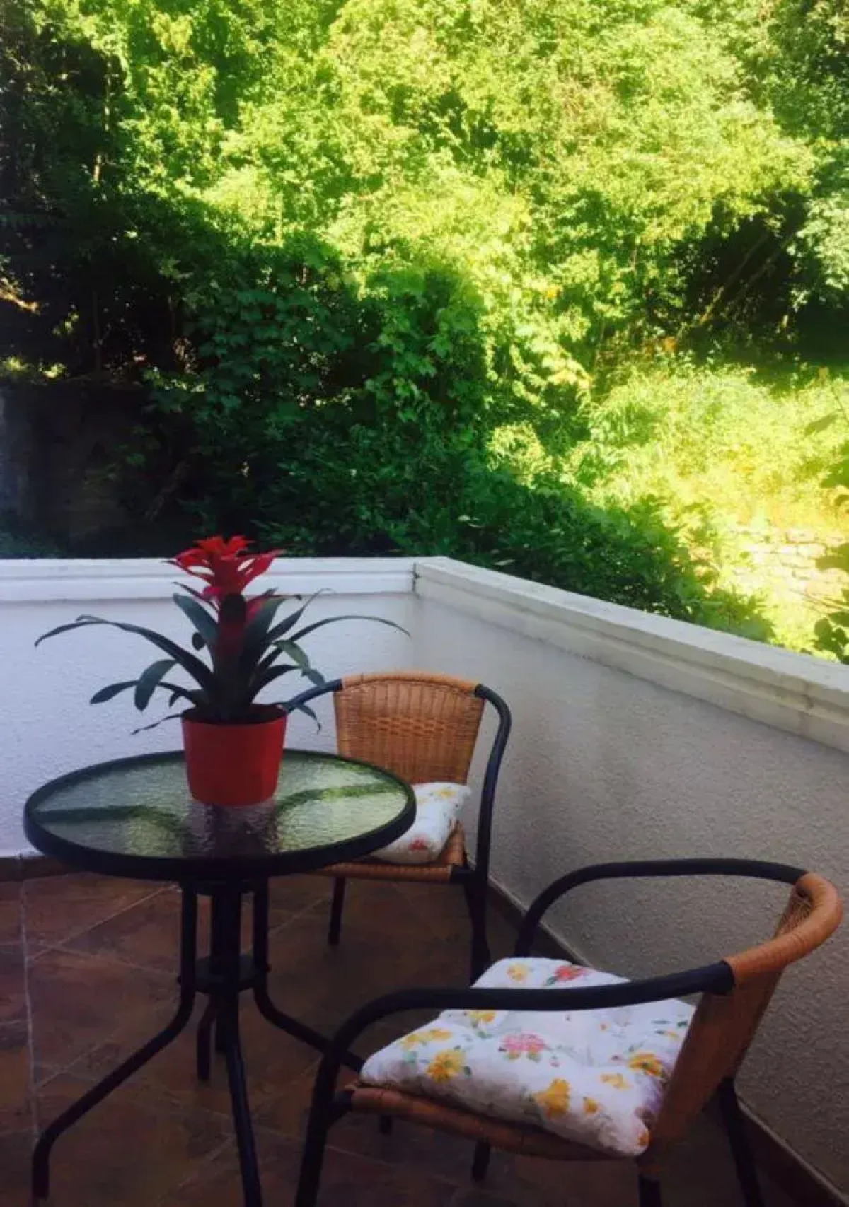 Мини-отель Villa Lutovac