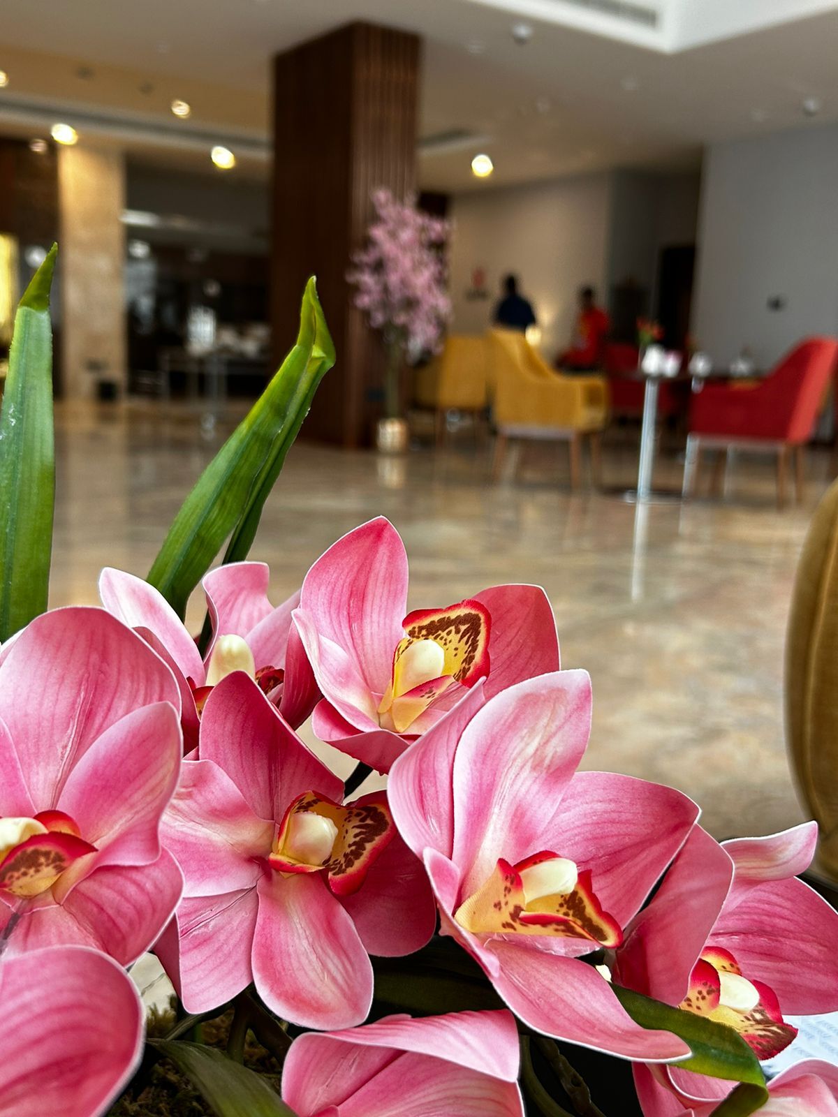 Отель Hotel Kyriad Hotel, Salalah