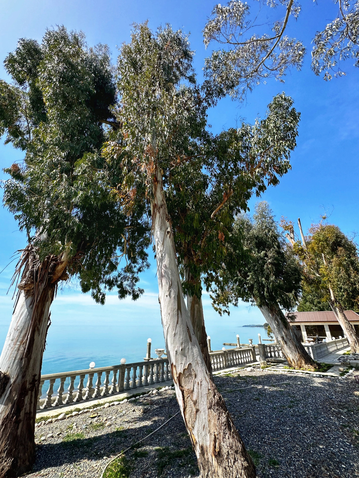 База отдыха Набережная Виктория