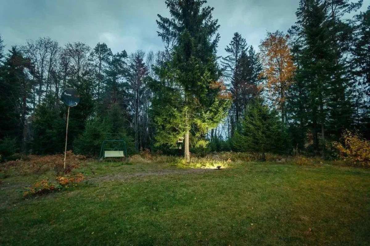 Гостевой дом Green Forest у Игоры