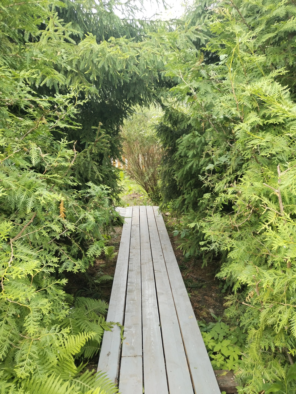 Бунгало Пляжный домик