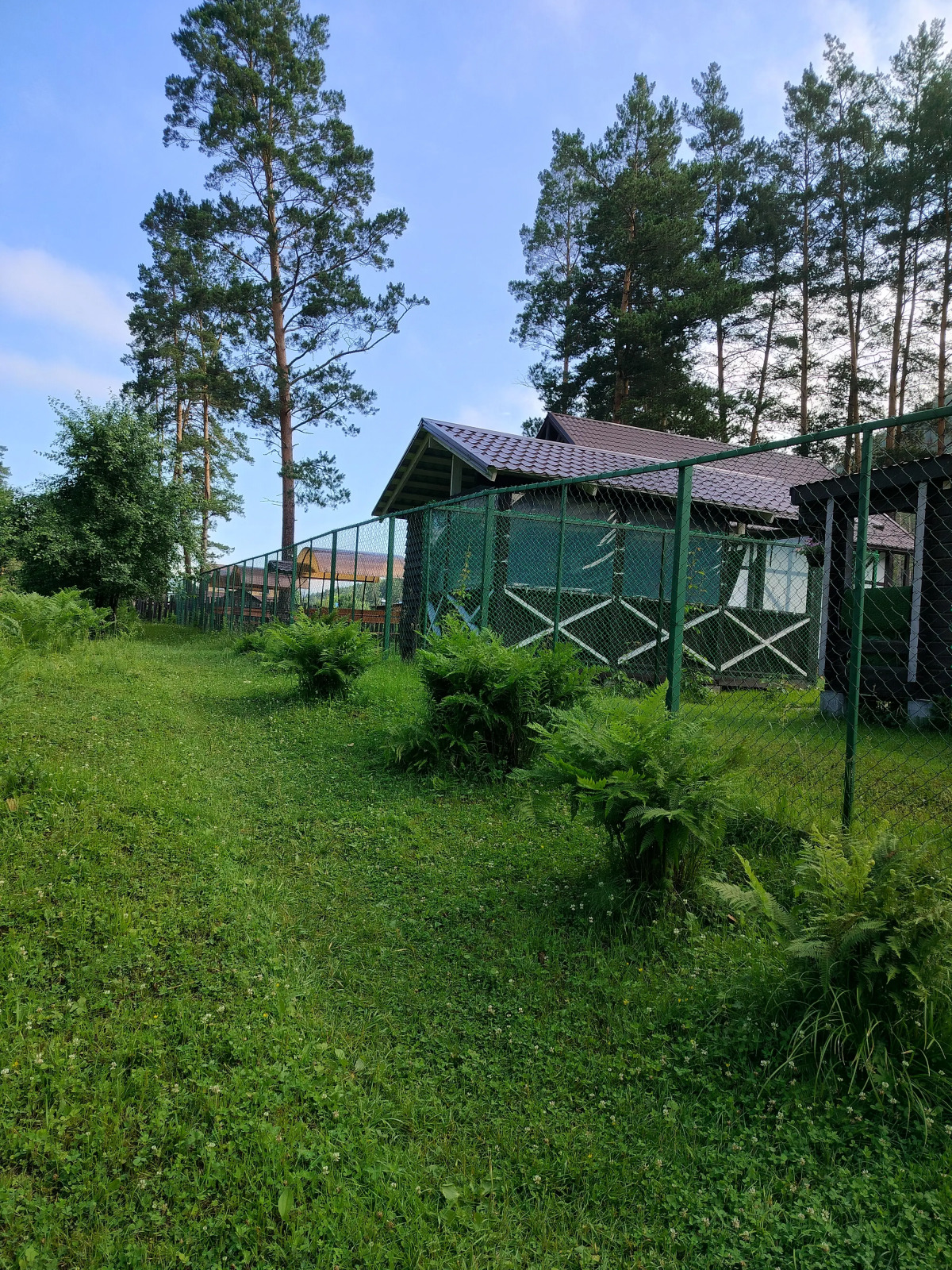 Гостевой Дом PANORAMA ALTAI