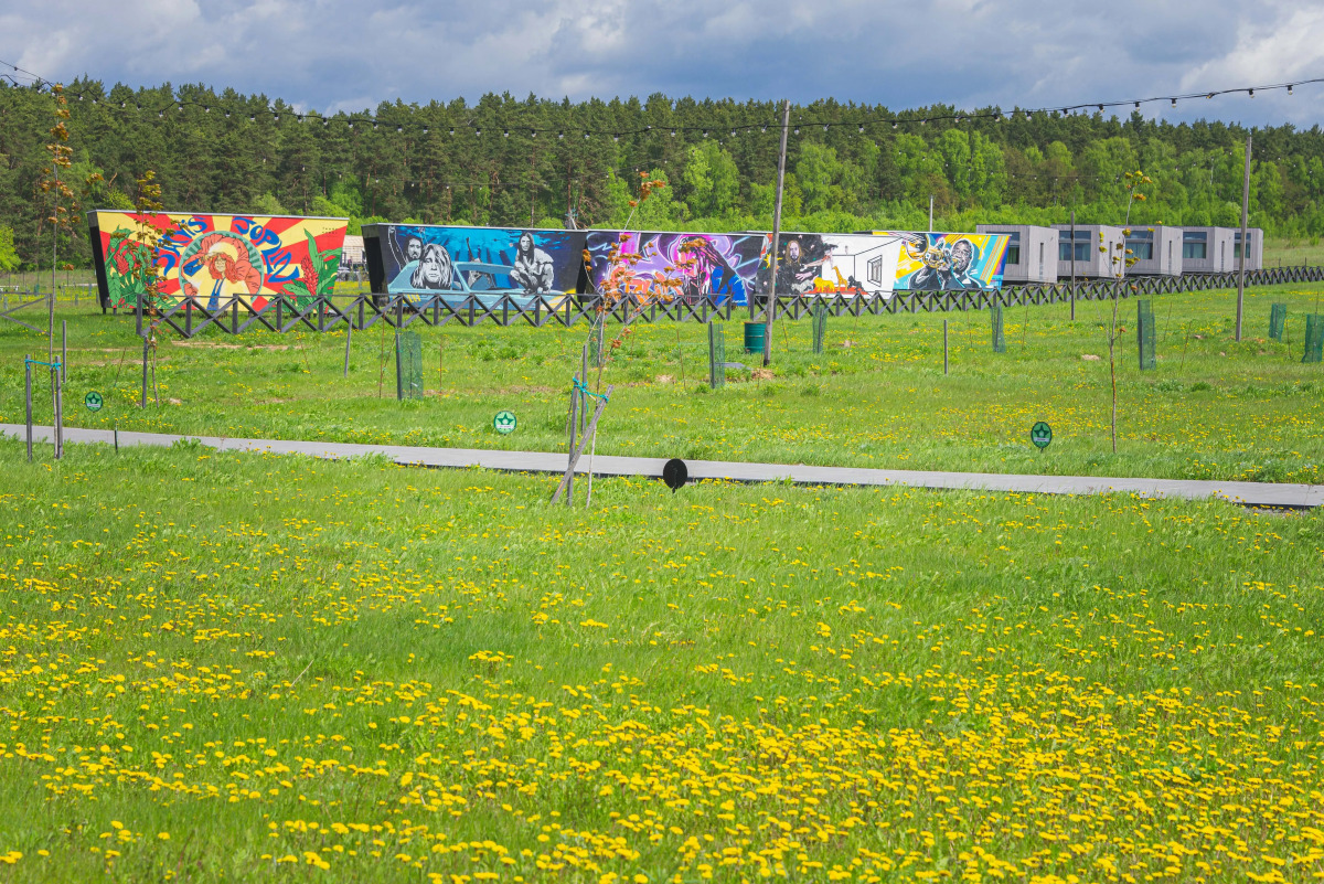 Отель Арт-кэмп Дикая Мята