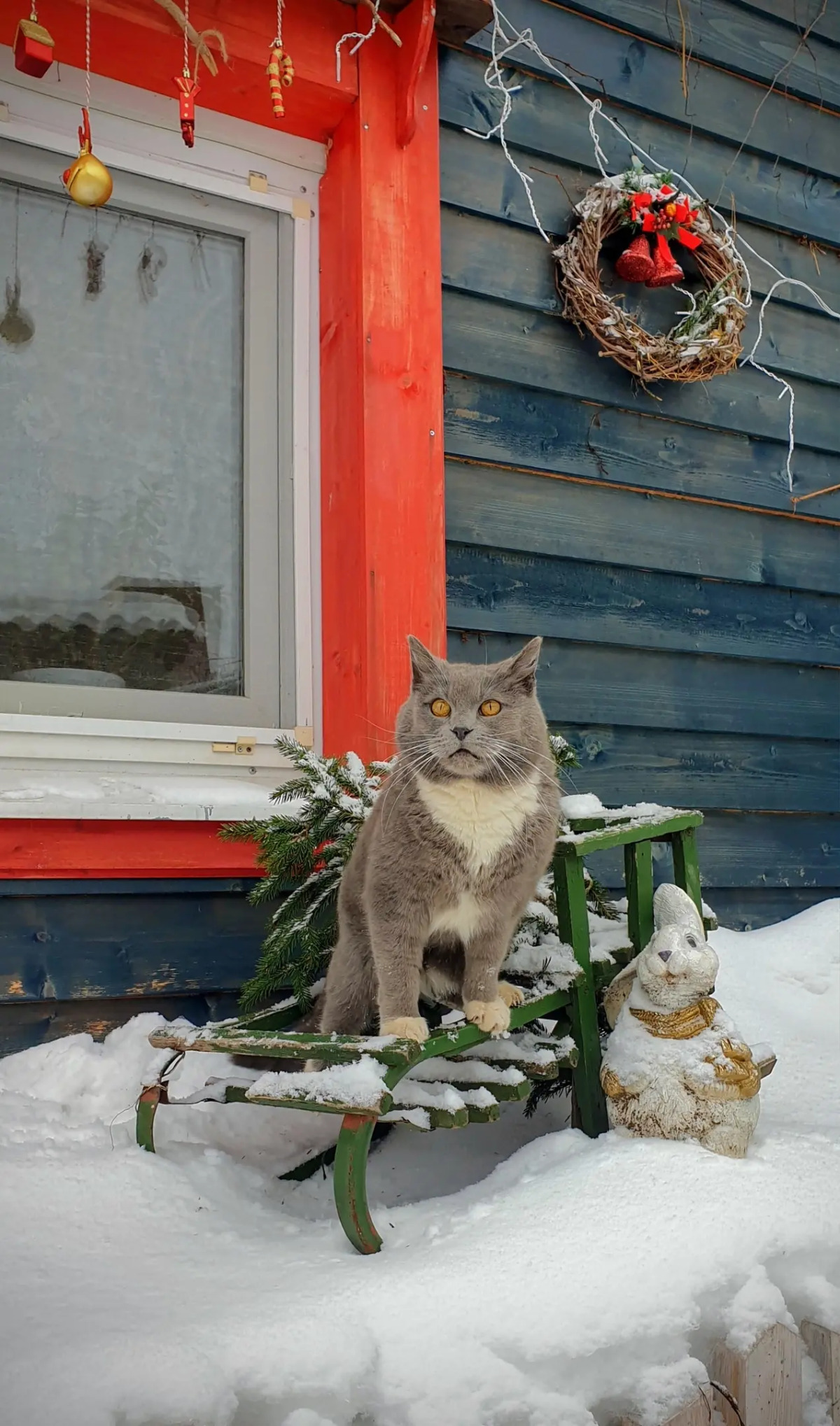 Гостевой дом Лосиный Тупичок