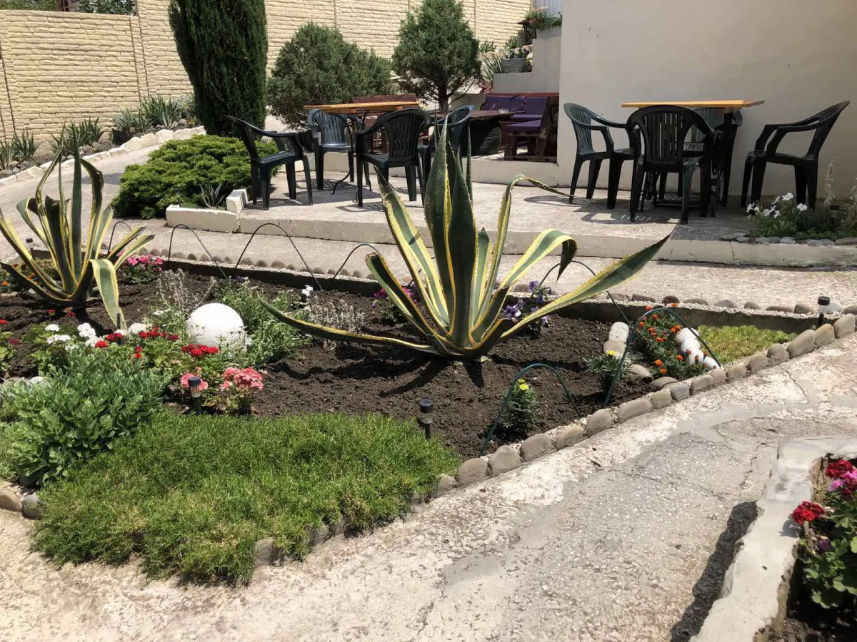 Гостевой Дом Agave