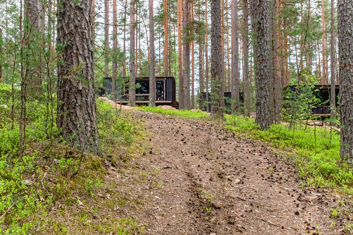 База отдыха Загородный клуб Радужный лес