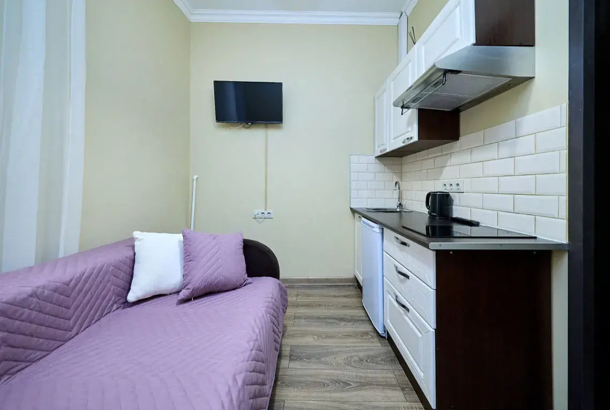 Апартаменты 4-я Советская 25 (5)