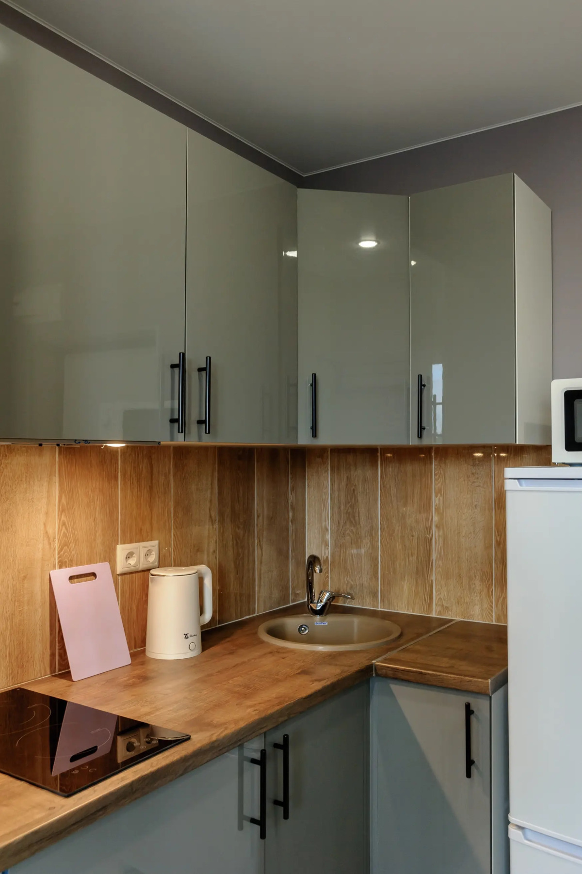 Апартаменты Просторная Студия у метро Сколково