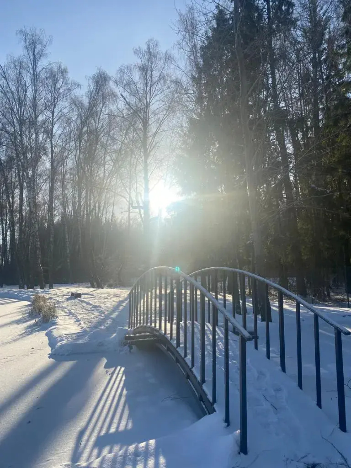 Частный Дом Уютный Домик в Лесу у Пруда