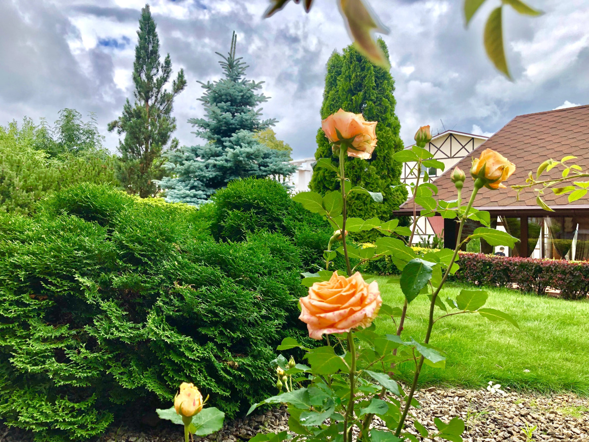 Отель Ю-Питер