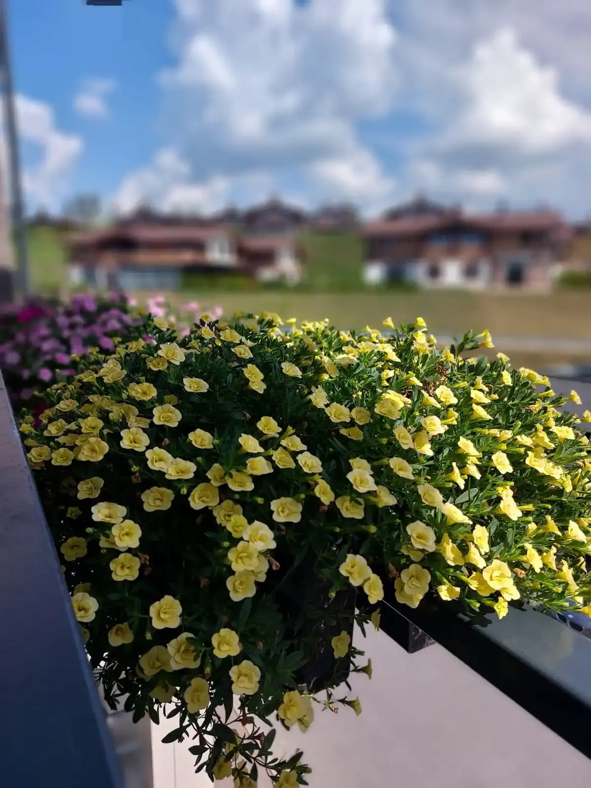 Апартаменты ОхтАпартЛюкс с сауной, террасой и одной спальней