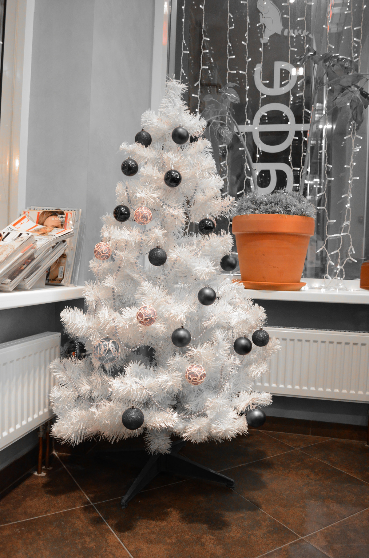 Мини-Отель Игуасу